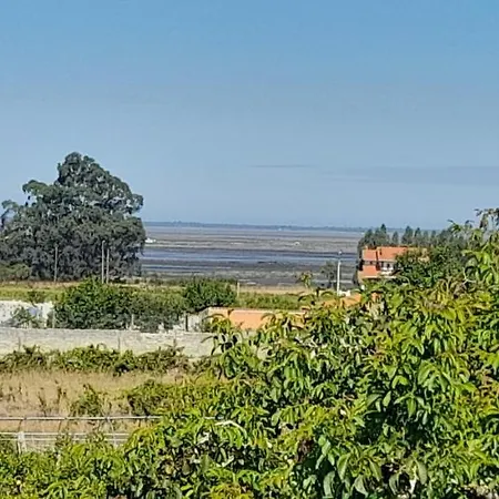 Casa Afonso - Passadicos Do Paco 3* Aveiro