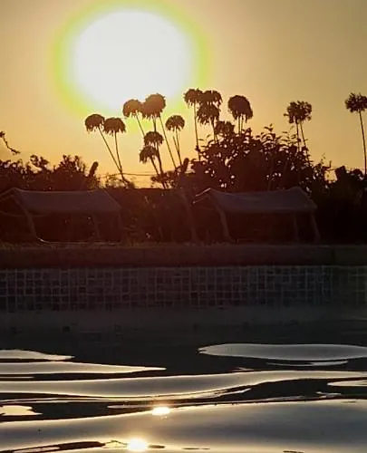 Casa Afonso - Passadicos Do Paco 4*